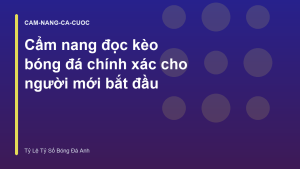 Read more about the article Cẩm nang đọc kèo bóng đá chính xác cho người mới bắt đầu